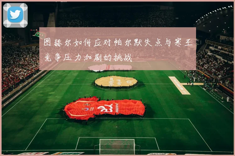 图赫尔如何应对帕尔默失点与寒王竞争压力加剧的挑战