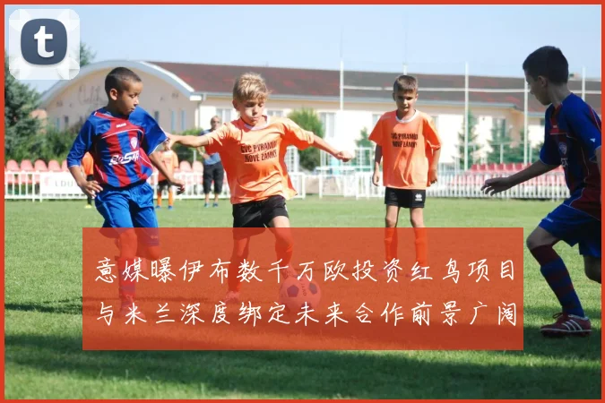 意媒曝伊布数千万欧投资红鸟项目与米兰深度绑定未来合作前景广阔